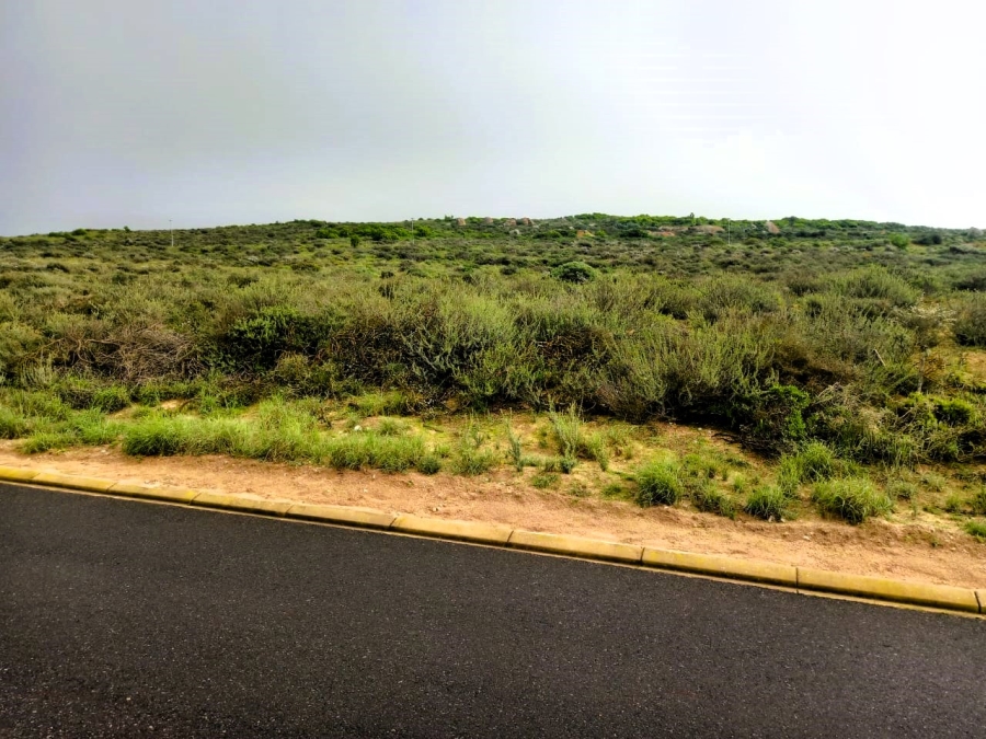 0 Bedroom Property for Sale in Britannica Heights Western Cape